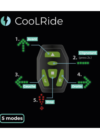 Fluorescent vest with LED indicators - Coolride
