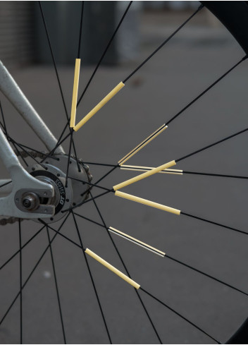 Réflecteurs de rayons x12 - JSAV