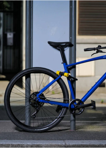 Antivol XTREM certifié SRA et ART4 - Auvray