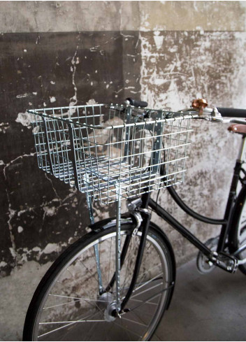 Panier Giant 157 XXL - WALD