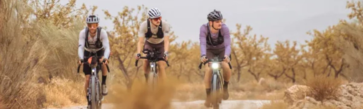 Dynamic Bike Care